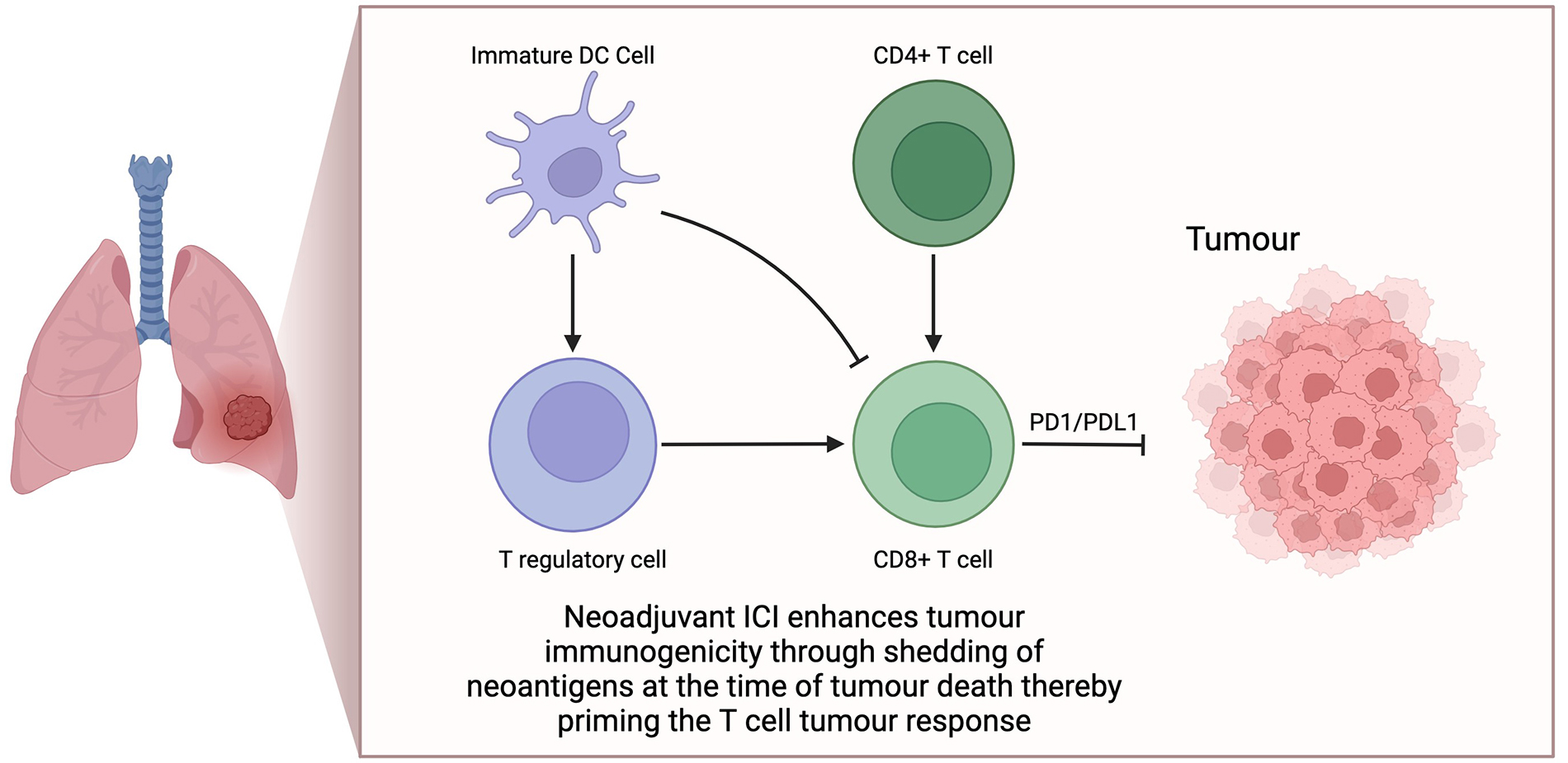 Angarus Exploration of Targeted Anti-tumor Therapy