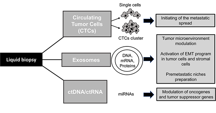 can you have ovarian cancer with low ca 125