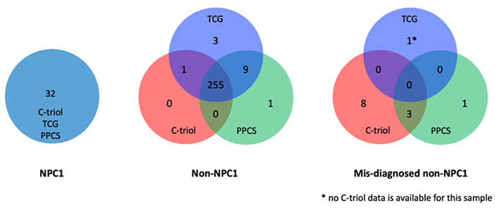 Niemann-Pick disease type C as a neurovisceral disease. Schematic