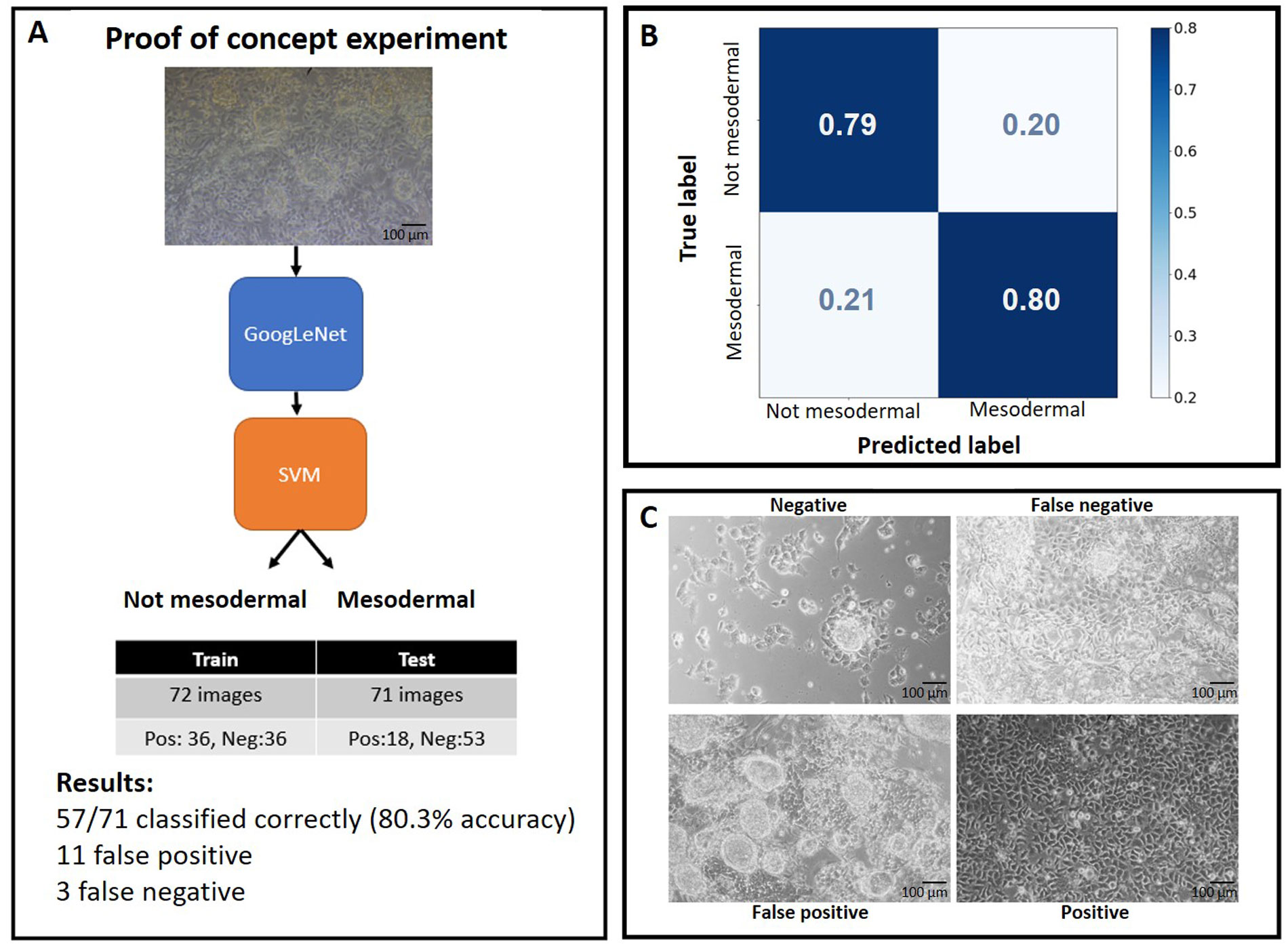 Exploration of Endocrine and Metabolic Diseases